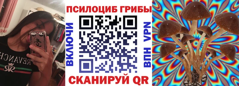 omg рабочий сайт Балахна Галлюциногенные грибы прущие грибы сколько стоит